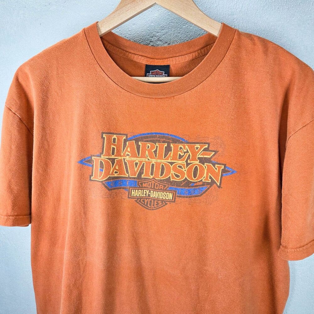 Vintage Y2K Harley Davidson Chesters Mesa Arizona Orange Faded Shirt Sz XL